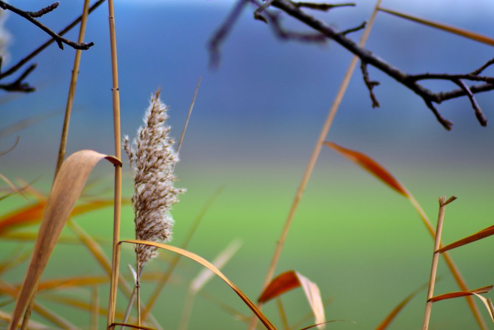 Auch im Winter ist es Bunt von Manfred Kain 