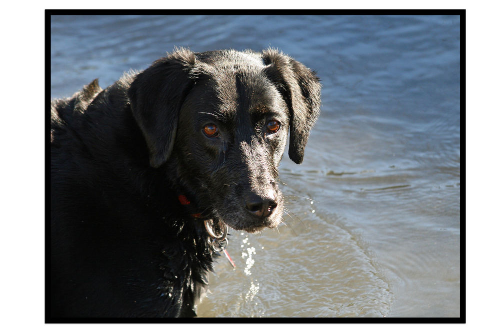 Auch im Winter kann man schwimmen !