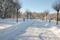 Auch im Winter ladet der Bot. Garten Augsburg zu einem Besuch ein