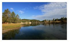 auch im Yellowstone NP