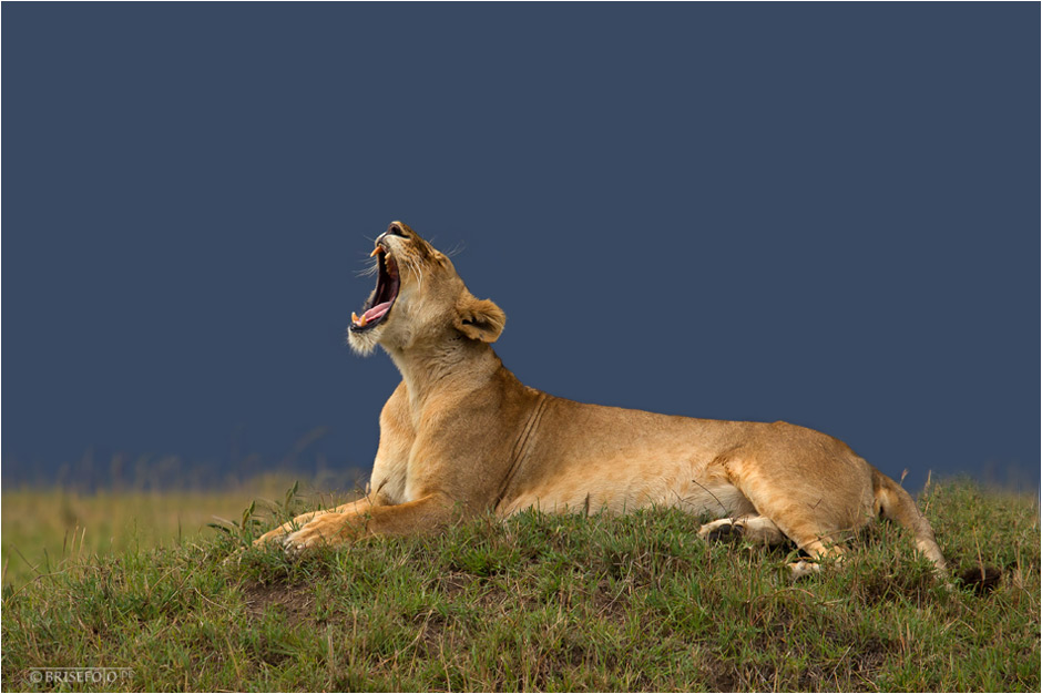 Auch in Afrika scheint nicht immer die Sonne