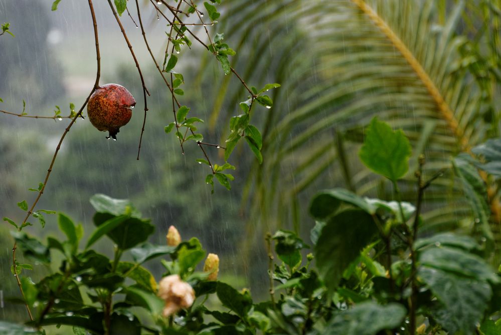 Auch in den Seychellen regnet es manchmal