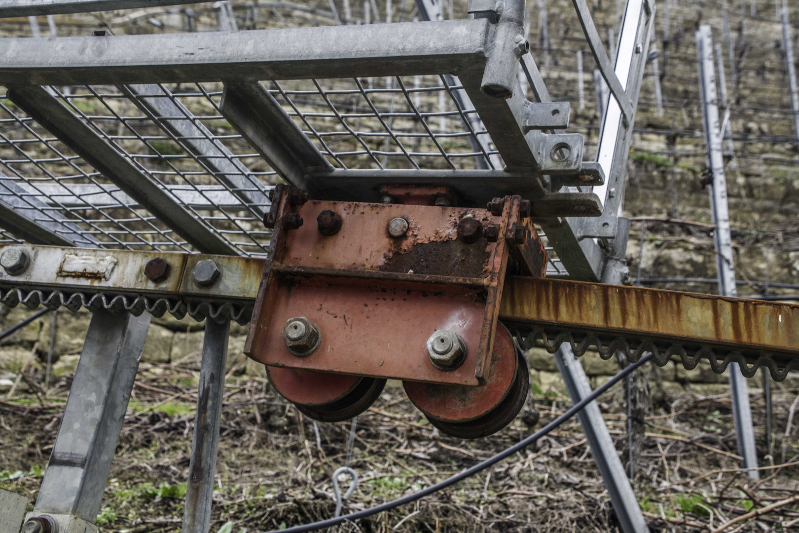 auch in den Steillagen der Weinberge ist Mutter wichtig