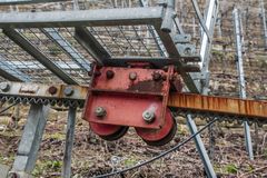 auch in den Steillagen der Weinberge ist Mutter wichtig