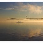 Auch in der früh ist schon was los am Wallersee