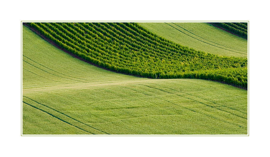 Auch in der Nähe