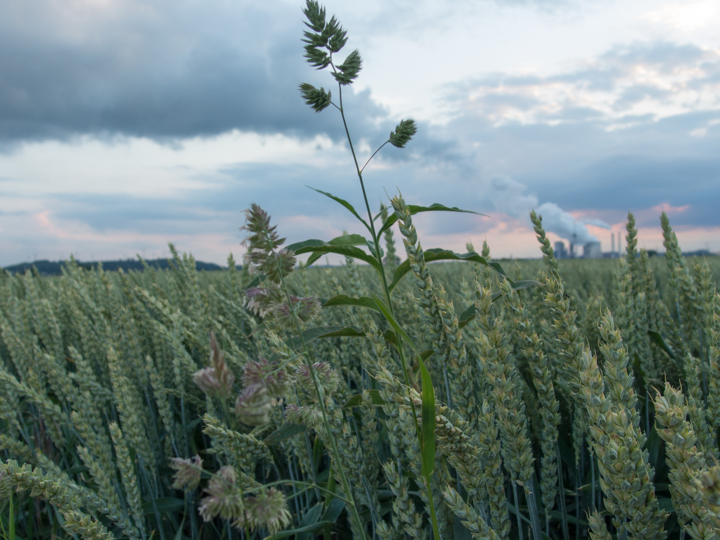 Auch in der Natur steckt Energie