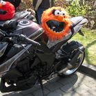 Auch in der Sesamstraße fährt man Superbike