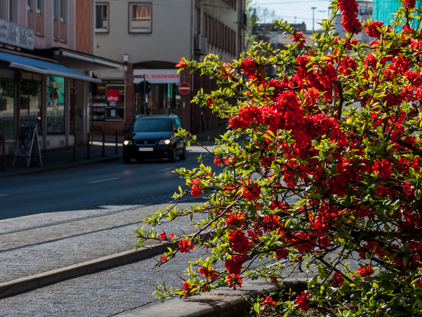 Auch in der Stadt