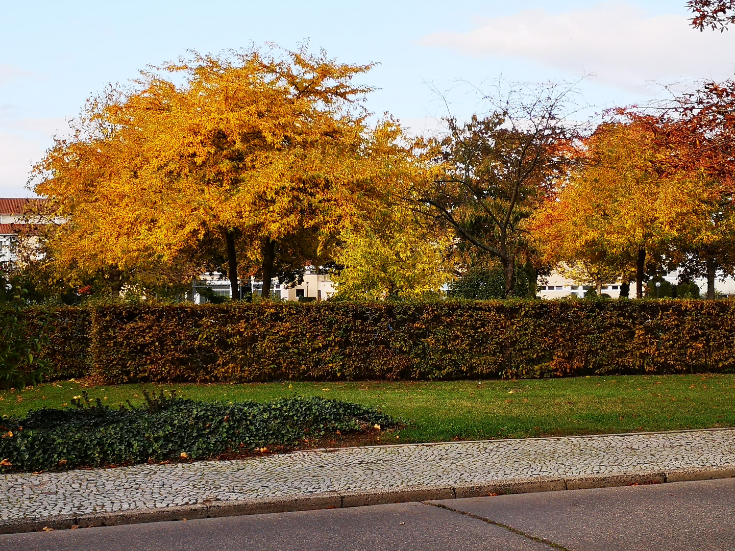 auch in der Stadt ist der Herbst angekommen