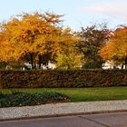 auch in der Stadt ist der Herbst angekommen