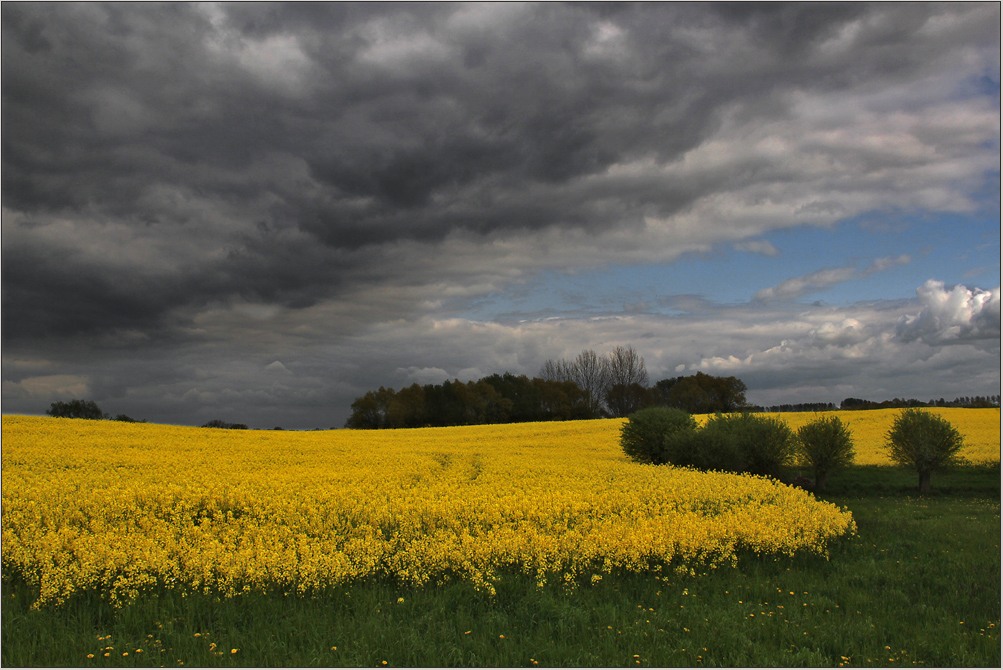 Auch in der Uckermark ...