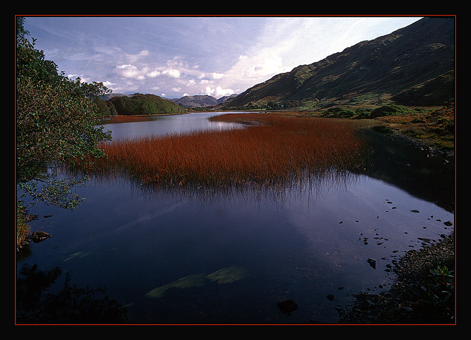 Auch in Irland