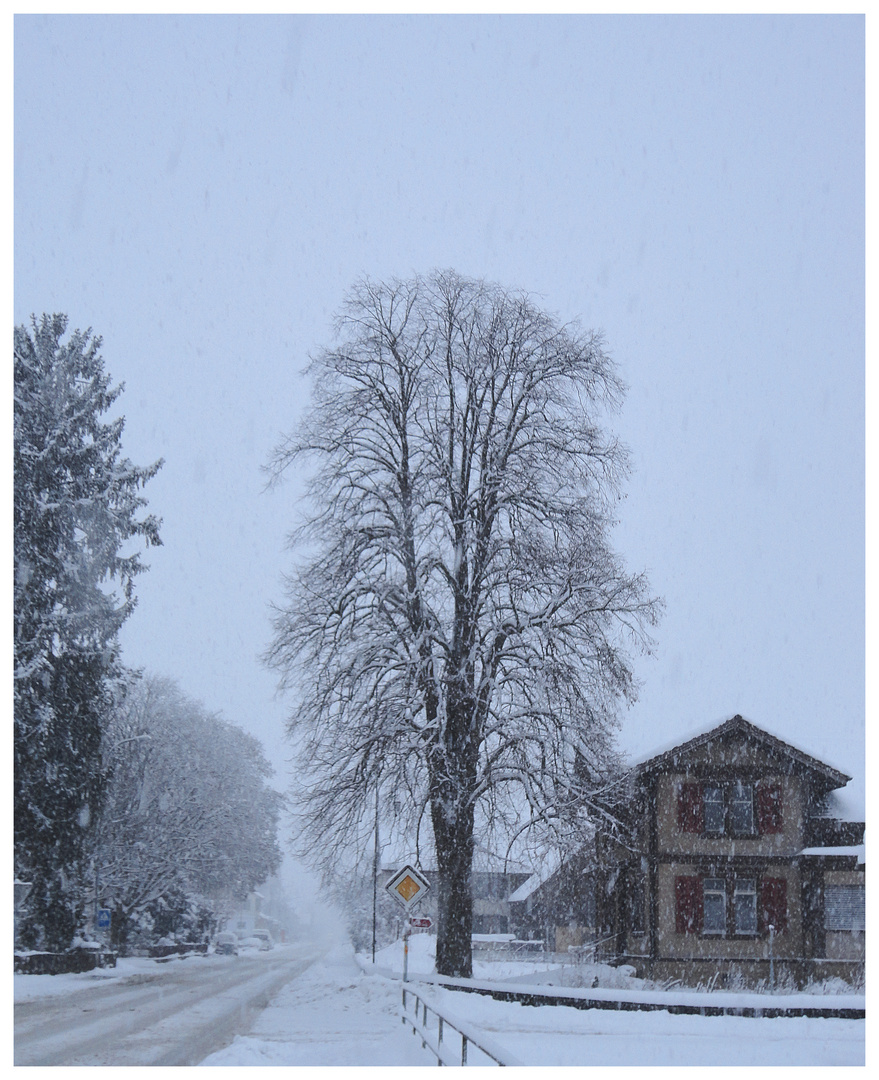 Auch in Märstetten ist es Winter geworden.