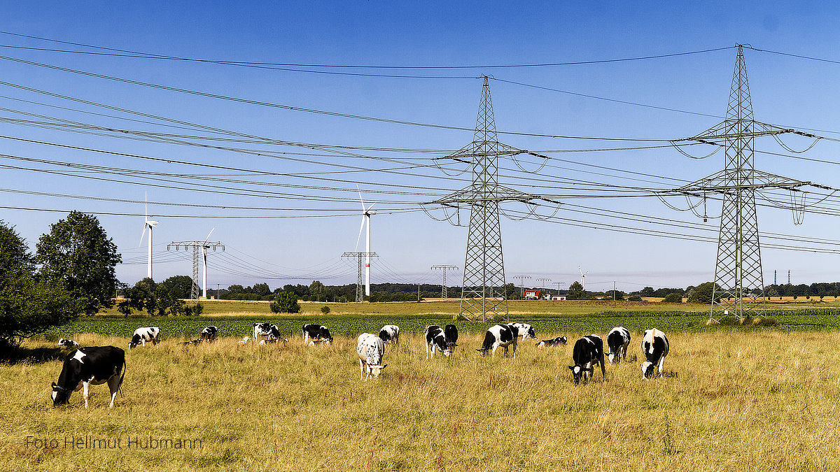 AUCH IN MUH-KREISEN WIRD WIEDERKÄUEND ÜBER DIE ENERGIEFRAGE GELABERT