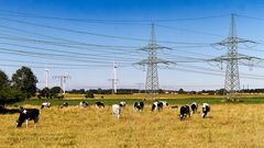 AUCH IN MUH-KREISEN WIRD WIEDERKÄUEND ÜBER DIE ENERGIEFRAGE GELABERT