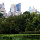 Auch in New York gibts grün ;)...