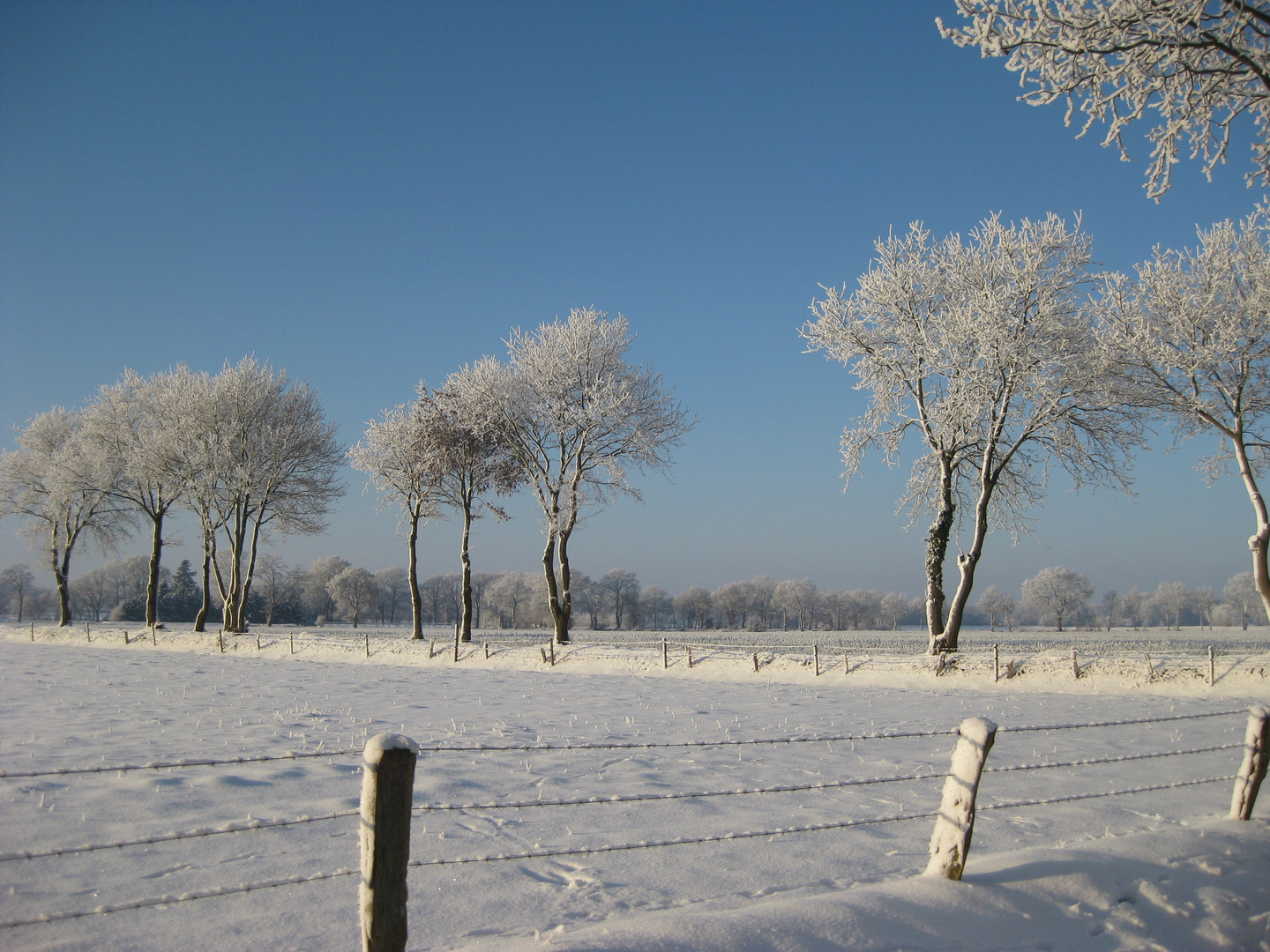 Auch in Norddeutschland scheint manchmal die Sonne...