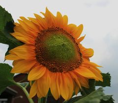 Auch in Rhüden im Harz geht die Sonne auf ....