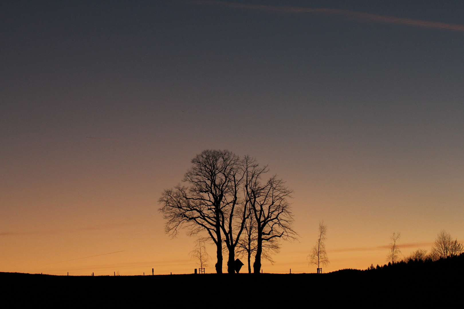 Auch irgendwie Sauerland 