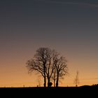 Auch irgendwie Sauerland 