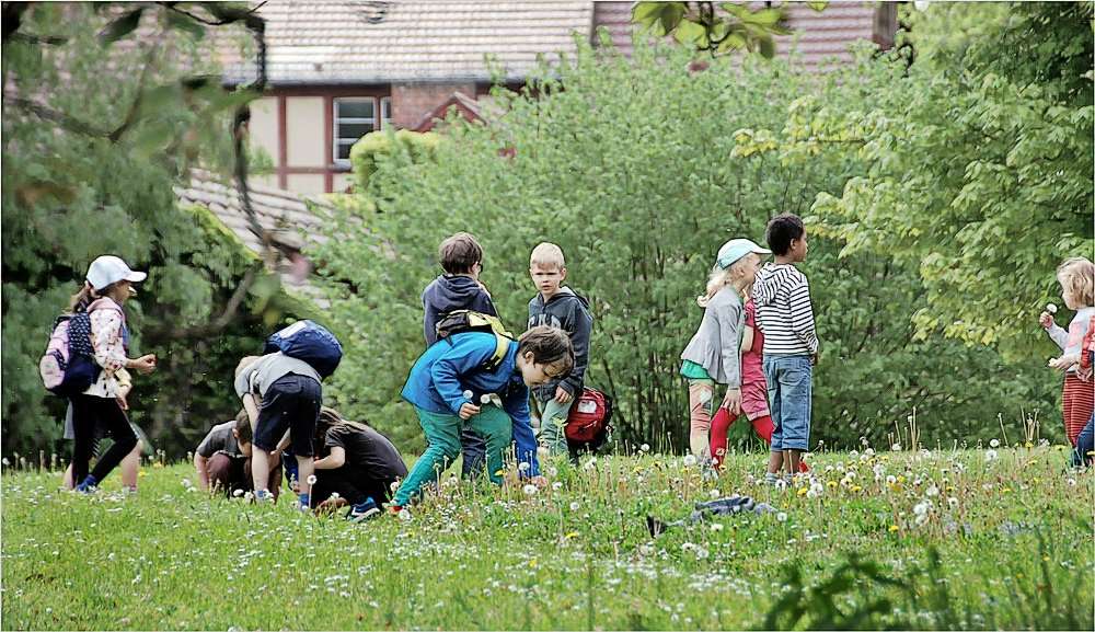 auch Jungs lieben Pusteblumen