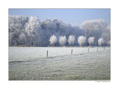 ....auch Kälte hat seine schönheit....