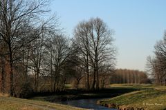 Auch kahle Bäume haben bei Sonnenschein ihren Reiz