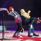 Auch Katzen können Circus