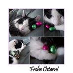 Auch Katzen lieben Ostern ;-)