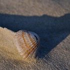 Auch kleine Dinge können große Schatten werfen