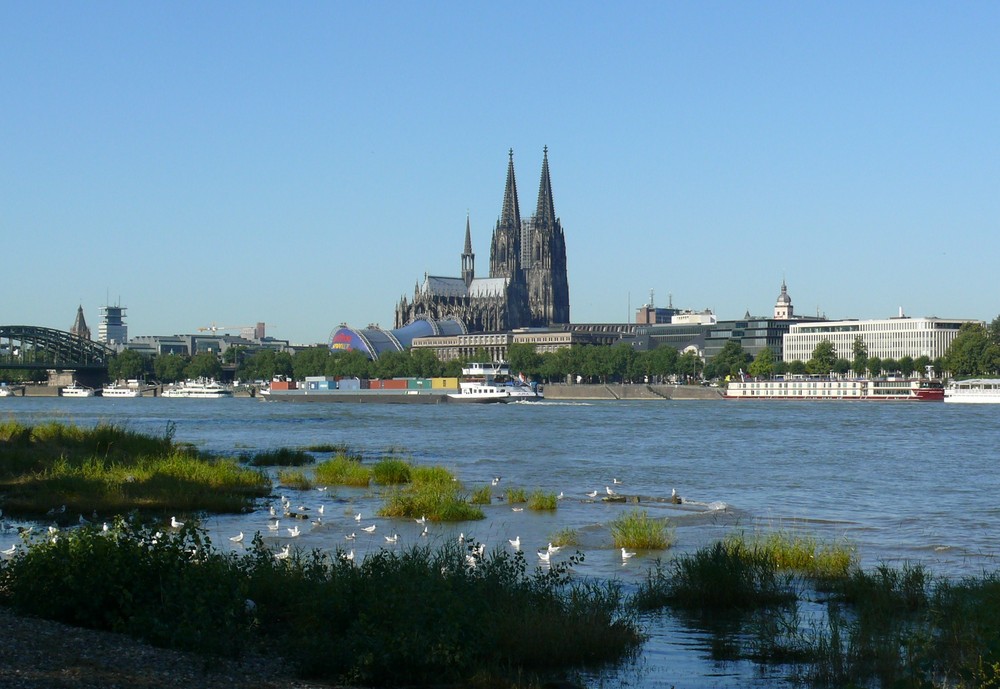 Auch Köln ist immer wieder schön