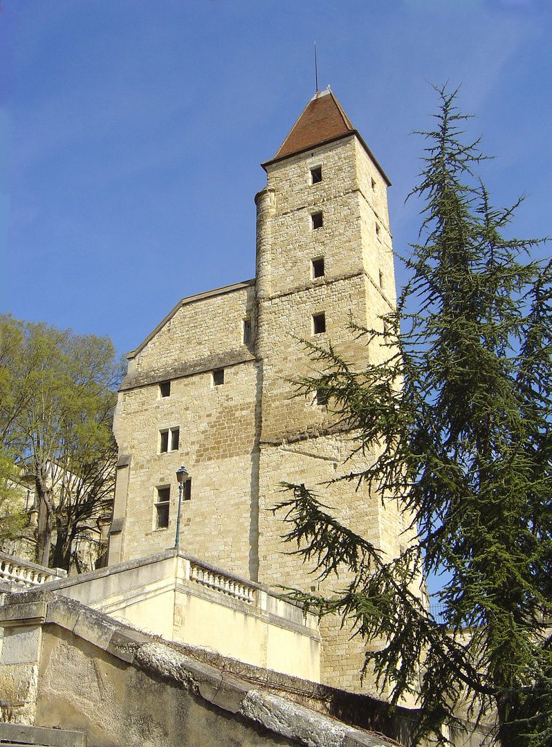 Auch - La Tour d’Armagnac et l’escalier monumental