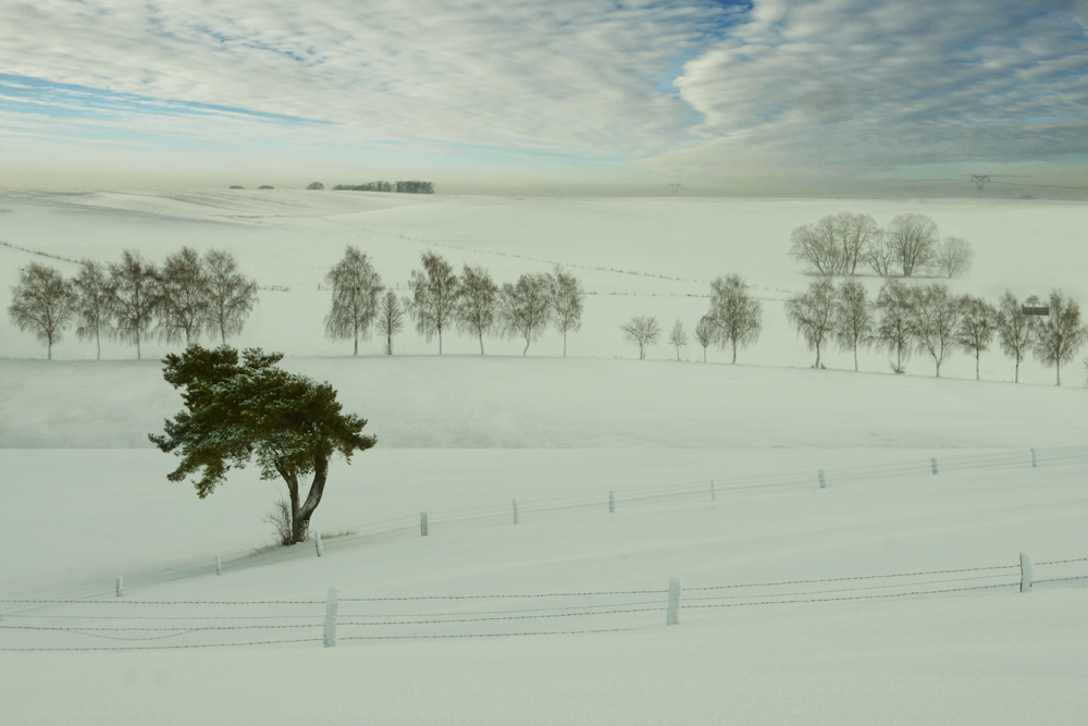 auch mal ein Winterbild gemacht