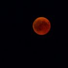 Auch mich hat dieser "Blutmond" begeistert