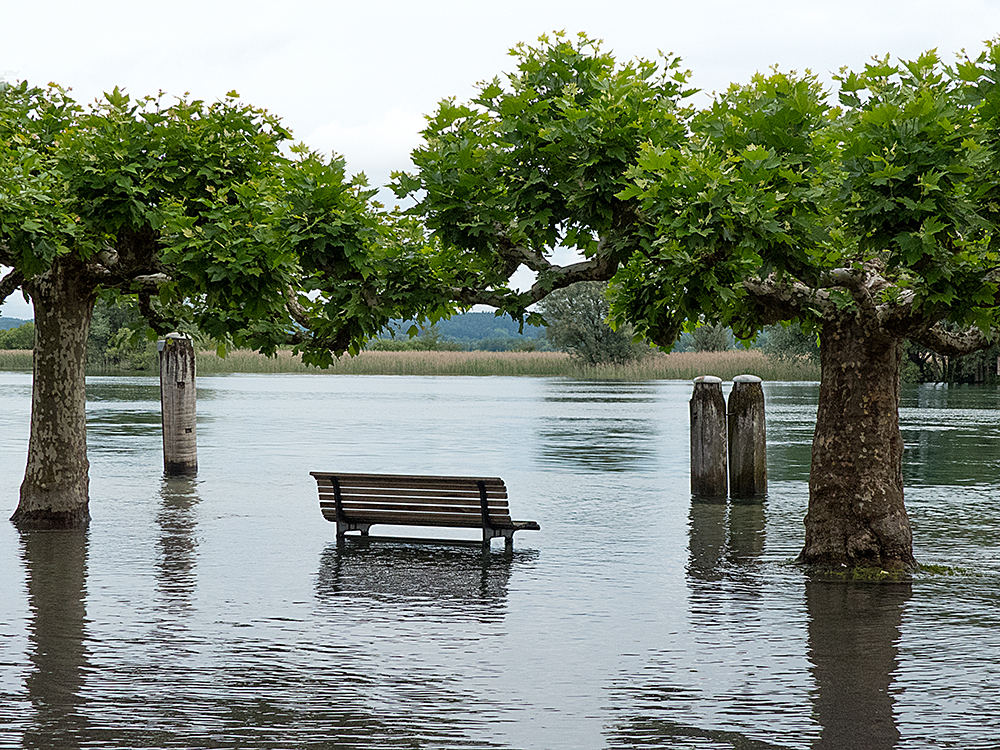 auch mir stand das Wasser bis zum Hals...