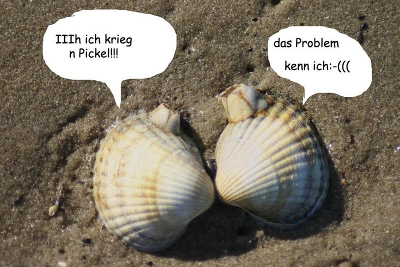 auch muscheln haben ein pickelproblem;-)