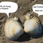 auch muscheln haben ein pickelproblem;-)