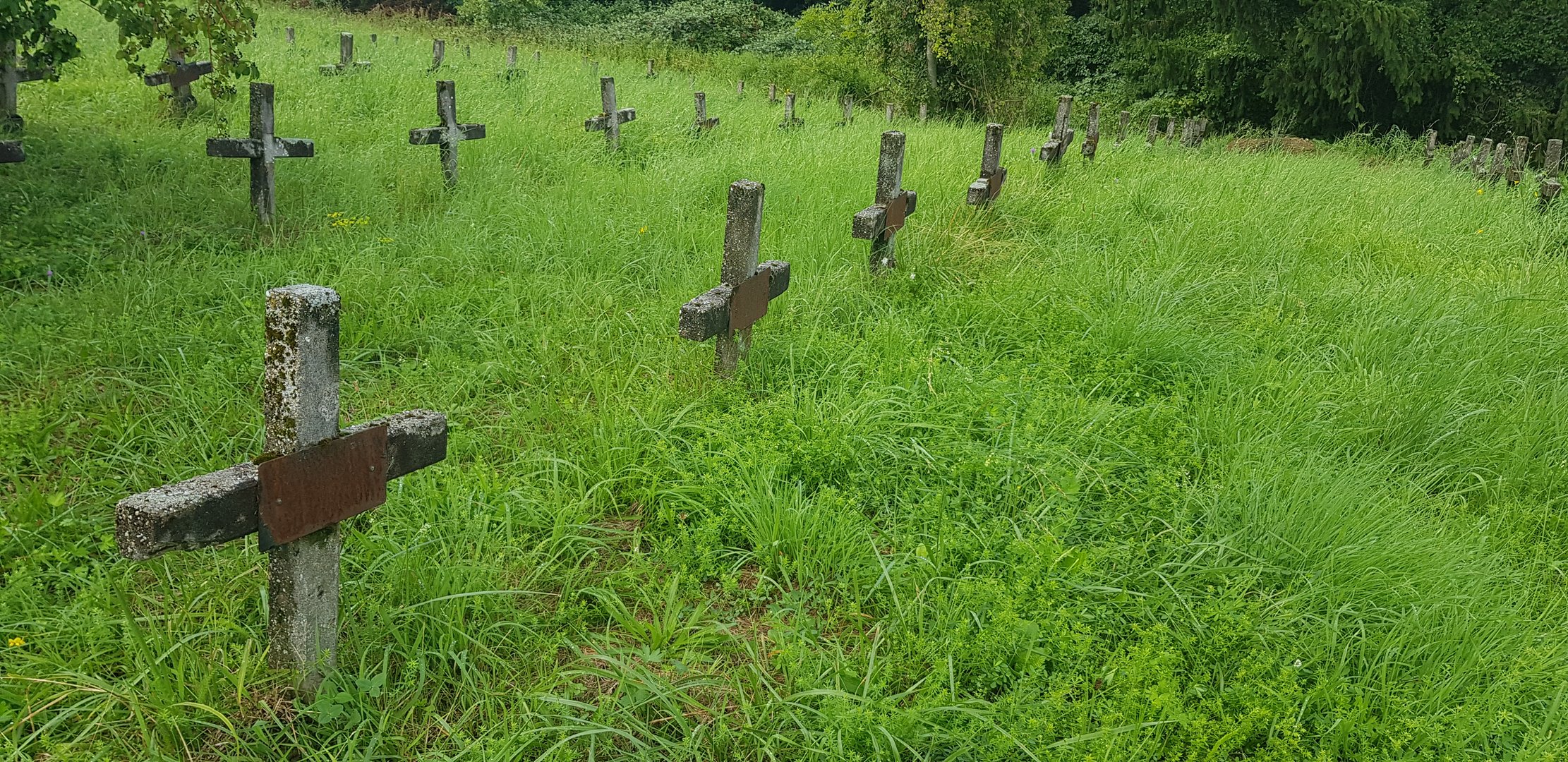 Auch nach dem Tod sind nicht alle gleich