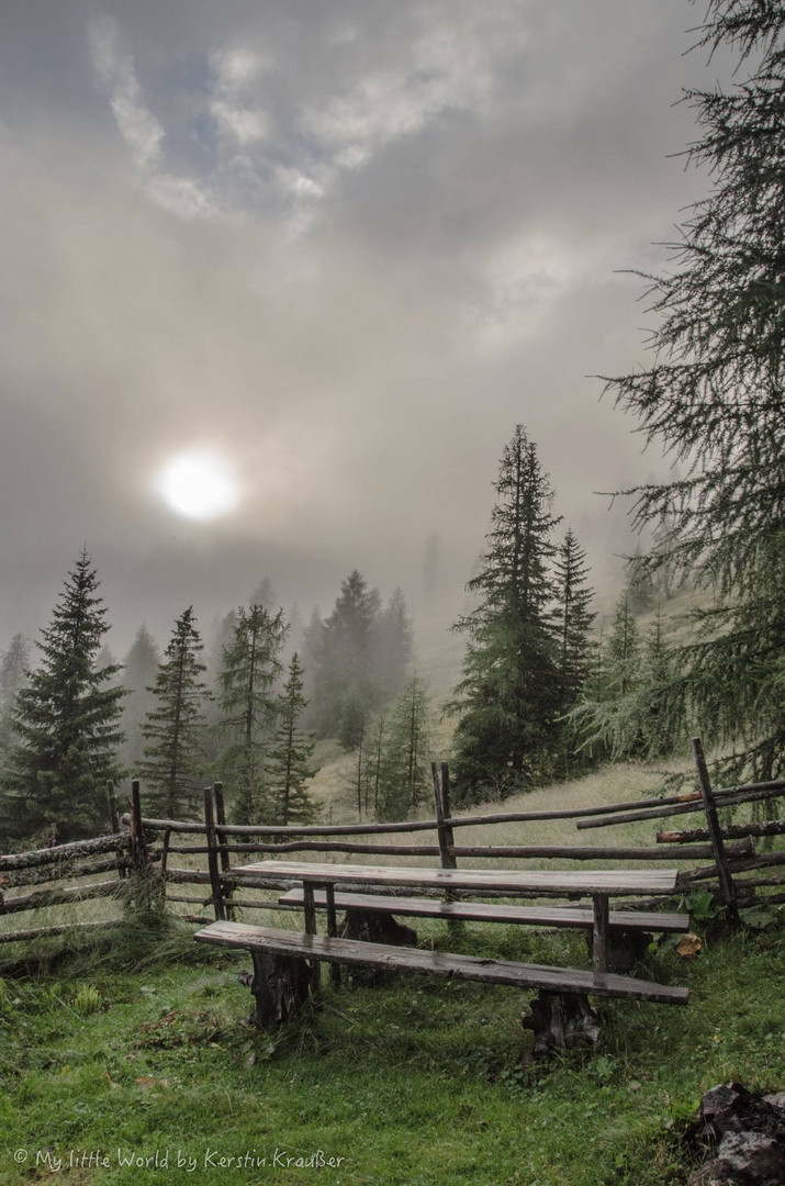 Auch Nebel hat seine schönen Seiten