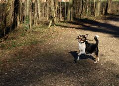 auch ohne Ball kann sie spielen....