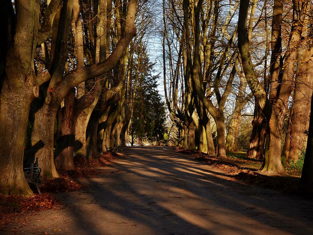 Auch ohne Laub . . . Foto & Bild landschaft, garten