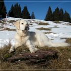 Auch ohne Schnee ist's schön.