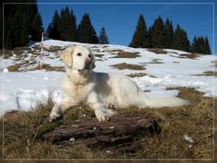 Auch ohne Schnee ist's schön.