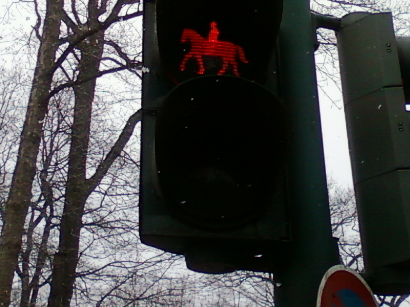 Auch Pferde müssen die Verkehrsregeln kennen...