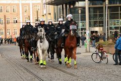 Auch Pferde müssen geschützt werden