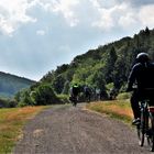 Auch Radfahrer begegneten mir.