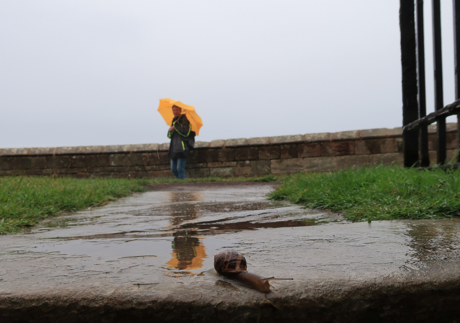 Auch Regen hat seine schönen Seiten