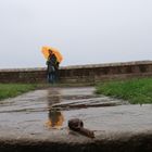 Auch Regen hat seine schönen Seiten