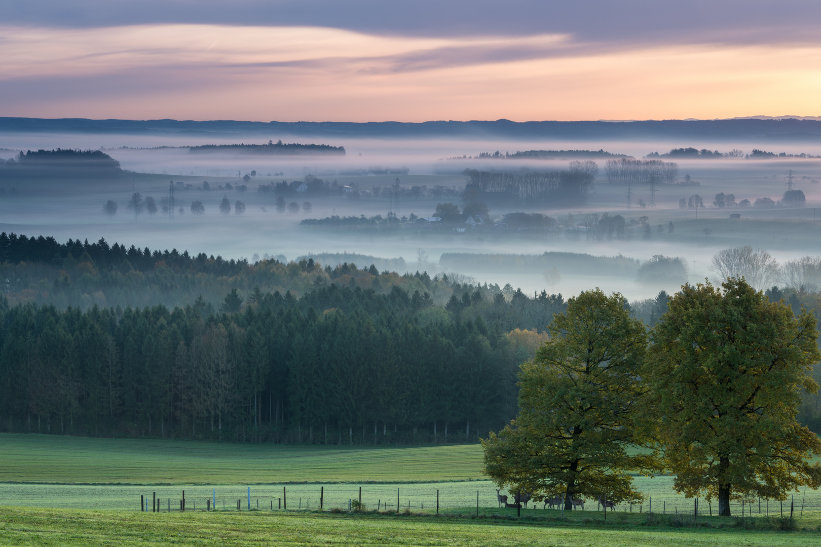 Auch Rehe lieben diesen Ausblick